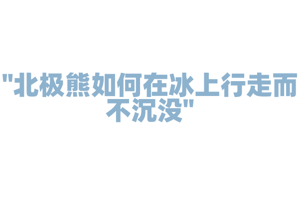 "北极熊如何在冰上行走而不沉没"